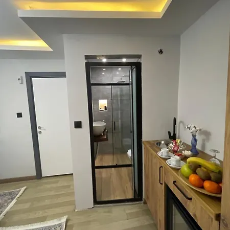 Valeria Deluxe Sultanahmet 酒店 *